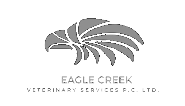 Eagle Creek Vet Services