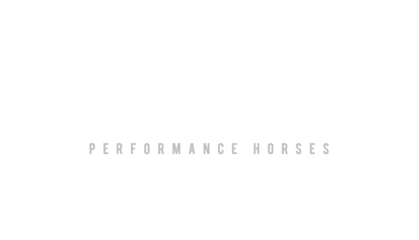 Seth Abrahamson Performance Horses