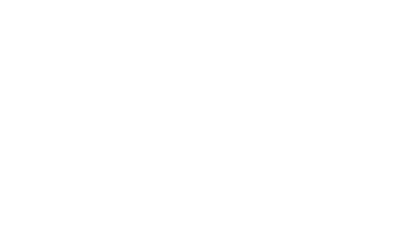 White Horse Wandering